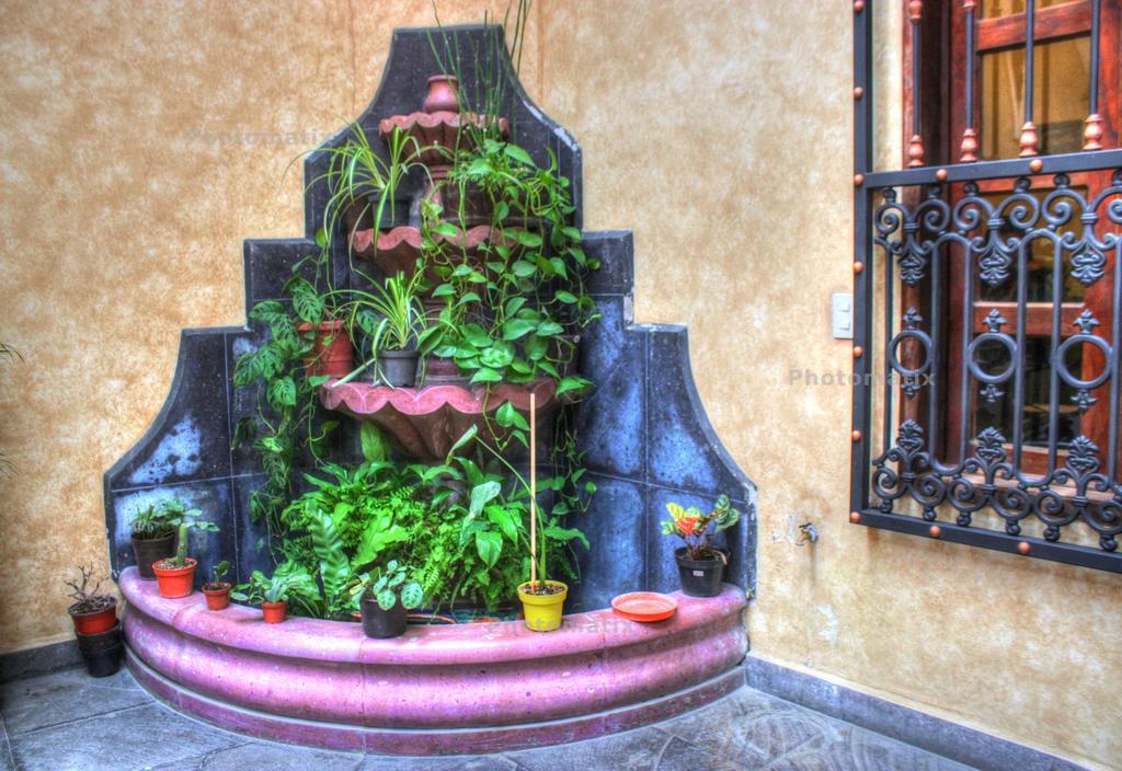 Hotel Plaza Real Coscomatepec de Bravo エクステリア 写真